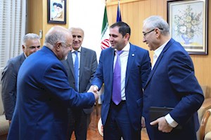 فیلم/وزیر نفت با وزیر مدیریت و زیرساخت‌های ارمنستان دیدار کرد