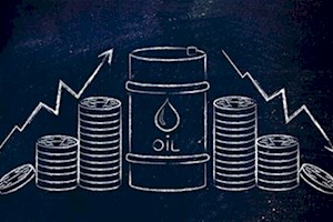 وزارت نفت می‌تواند در راستای تکمیل زنجیره ارزش محصولات گام بردارد