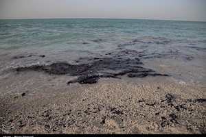 ثبت ۳۸ مورد آلودگی دریایی جدید در آب‎های بوشهر/کمبود نیرو، عامل استقرار نیافتن پاسگاه محیط‌بانی!
