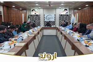 راههای افزایش تعاملات و رفع نیازمندی‌ها با توان متخصصین بومی بررسی شد