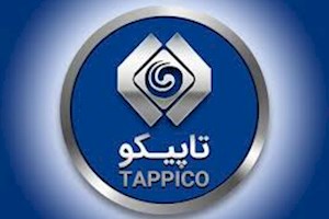 بالا پایین پریدن وزیرکار برای یافتن آقای مدیرعامل/وقتی هیچ عاقلی حاضر نیست تاپیکو را گردن بگیرد!