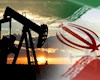 رشد قیمت نفت ایران ملایم شد