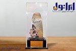 تقدیر از عملکرد مدیر عامل نفت ایرانول و انتخاب به عنوان واحد نمونه سال ۱۴۰۳