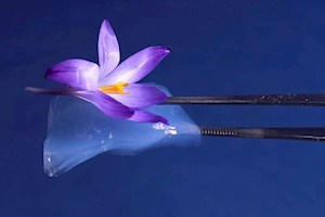 اثرگذاری فناوری نانو در بخش انرژی: ۲۴۰ میلیون مترمکعب صرفه‌جویی گاز در سه سال