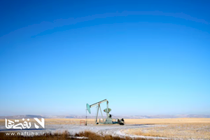 هشدار تازه برای صادرکنندگان/  بازار نفت دیگر از بحران‌ها نمی‌ترسد!