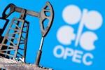 تصمیم مهم اوپک پلاس، تولید نفت ثابت تا پایان سه‌ماهه اول ۲۰۲۶