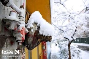 مصرف ۵۹ درصدی گاز در بخش خانگی