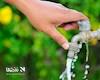 هیچ نقطه‌ای در کشور با قطعی آب شرب مواجه نیست