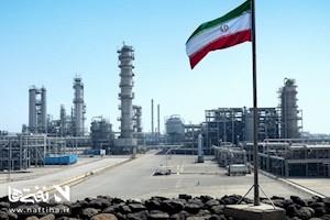 مدیر تولید تاپیکو به NPC باز می‌گردد؟