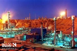 کارکنان پتروشیمی ایران زیر فشار هم گل کاشتند