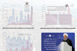 اینفوگرافی/ ارز پتروشیمی ها کجاست؟