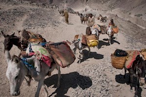 سرنوشت تلخ یارانه ۱۲.۵ میلیارد دلاری بنزین